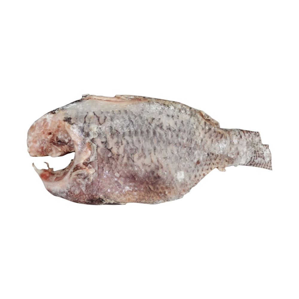 TILAPIA 800G UP
