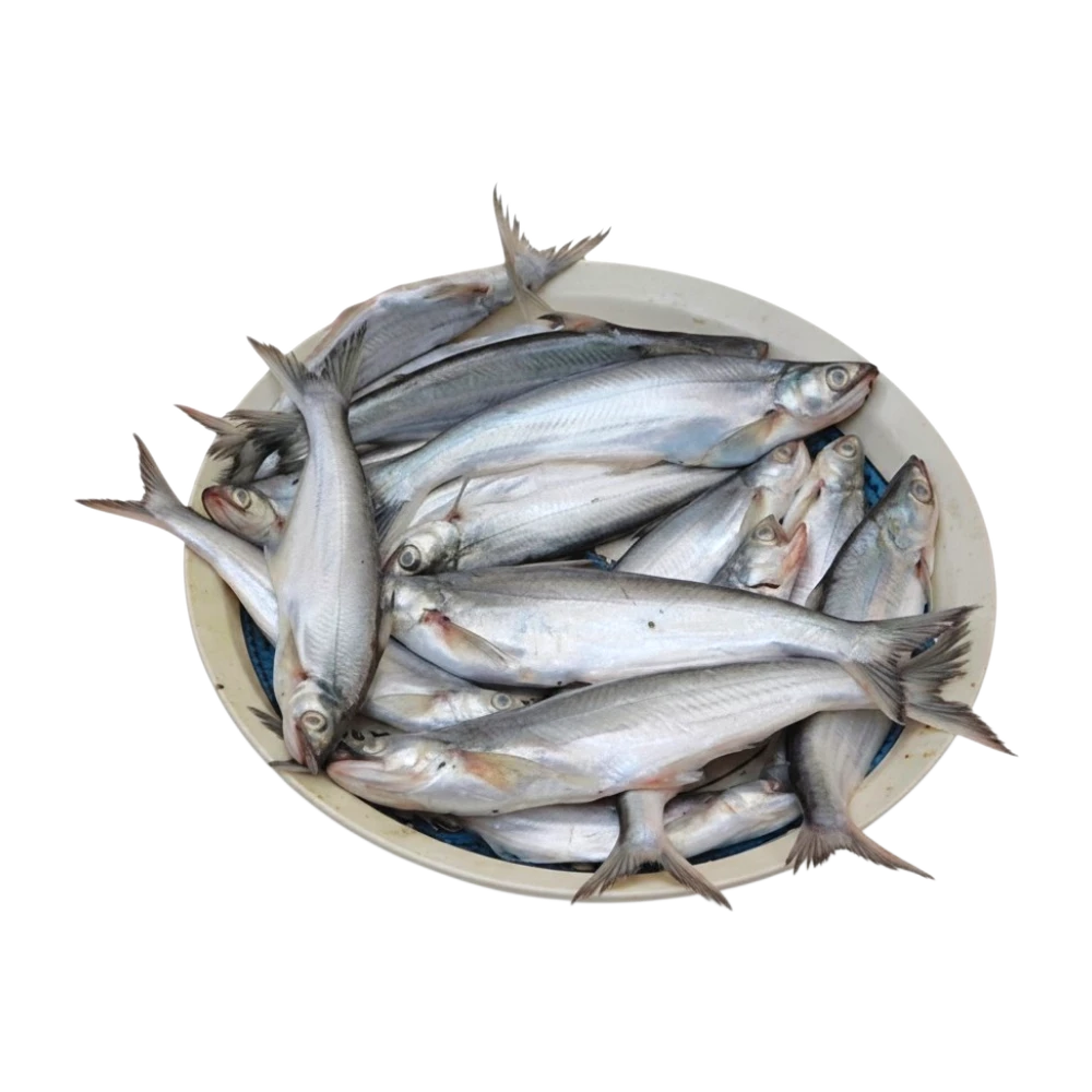 BACHA FISH 500G