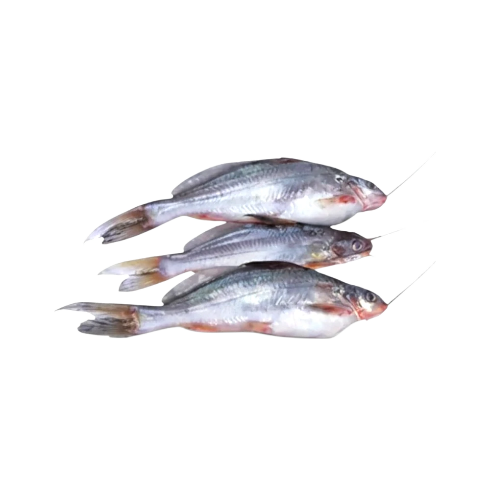GULSHA FISH 500G