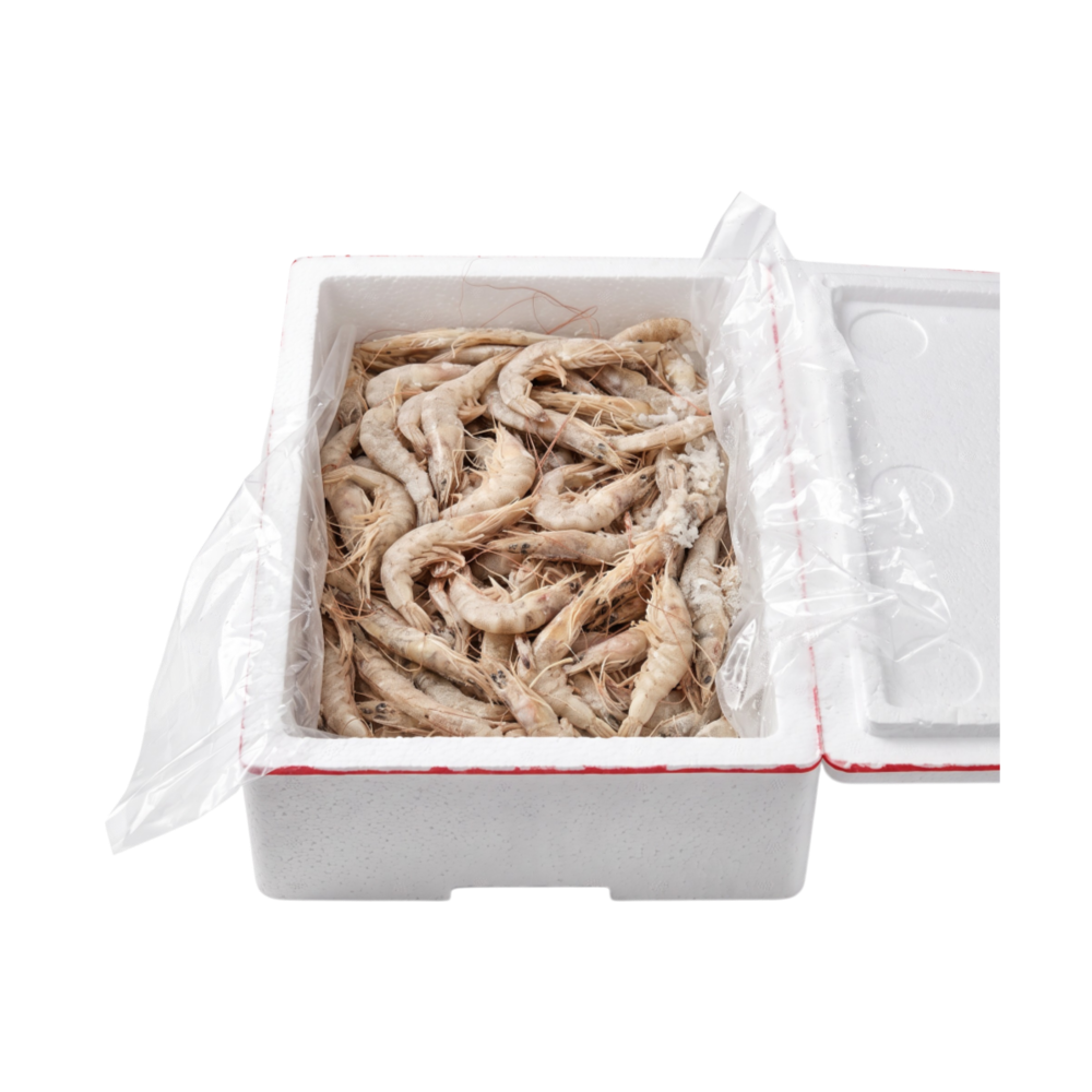 SHRIMP MEDIUM SIZE 새우 (CHINGRI) 1KG