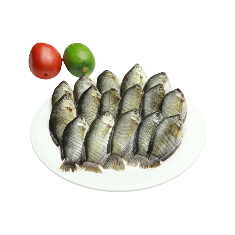 KHOLISHA FISH BLOCK 500G